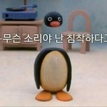 [댓글부탁해] 너희는 <b>환생</b>한다면 뭘로 태어나고 싶어?