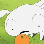 [드루와] 이단들의 <b>수법</b>이뭔지알아?(모태신앙임)