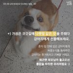 장거리연애 해본 판녀 있어?