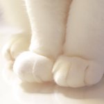 [댓글부탁해] <b>친구</b> 생일<b>선물</b> 애매해ㅠ