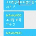 <b>일부</b> 마마무팬들 수준