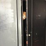 [방탄소년단] 이삐들 <b>효리</b>ㄴㅔ 여관 봤어!?!?!!!