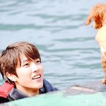 [꼭읽어줘] 자꾸 개독개독 하는데 개독의 정체를 알려드리겠습니다...