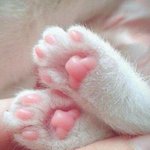 [드루와] 여기 <b>벨라</b>앤루카스 아는애들 없냐ㅜㅜㅜ