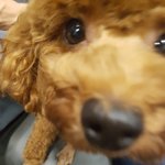 [방탄소년단] <b>홀리</b>❤️❤️❤️