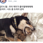 [EXO] 이거 ㄹㅇ민석이랑 옆<b>동네</b>돌 +