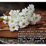 [사랑의 편지] 교회여 일어나라, 일어나라 주의 백성