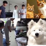 [강다니엘] 어제 녤뭉이 <b>상황</b>짤