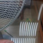 [댓글부탁해] 다이소<b>쌍</b><b>테</b>추천