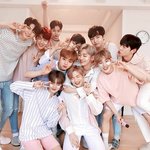 [워너원] 워너원의 머랭치기를 파헤쳐보자