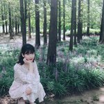 [아이유] 입덕초기에 봐야할것