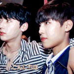 [박우진] 참팬들...