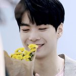 [김종현] 샤이부기단들!!