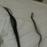 광명철산붙임머리샵에서쓰레기모70만원가량붙히고 고소당했어요 증거사진첨부