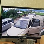 차에 뱀 들어간적 있으신분 ㅠㅠ