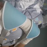 산책중 개목줄좀 하고다닙시다!(사진있음)