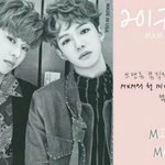 [MXM] 우리 홍보글