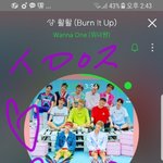 [강다니엘] 퇴근 플뷰