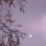 [ㅋㅋㅋㅋㅋ] 배아프다고 <b>조퇴</b>햇당