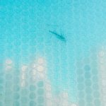 [드루와] 오늘 내 방 방충망에 졸라 큰 벌레붙음