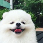 [댓글부탁해] 무리에서 겉도는애 있냐