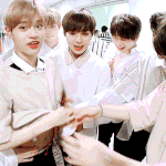 [박우진] 휘의 배를 사수하는 박참새