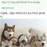 <b>후집</b> 예쁜데 추천좀해줘