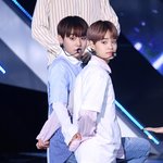 [워너원] <b>미어캣</b> 두마리