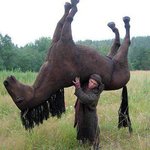[댓글부탁해] 신발 살건데 천신발이랑 가죽신발중에 뭐 살까