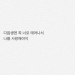 [댓글부탁해] 챔피온 후드집업 잇는사람!!!!!