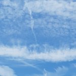 천국으로 <b>승천</b>하는 성도들이 출현하고 있다