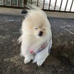 얘들아 걍 기저귀 쓰셈