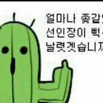 [드루와] 얘들아 너네 릴리안 <b>생리대</b>
