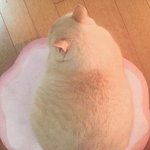 인생 팝송 적고가장