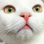 노란색vs<b>노랑</b>색