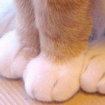 [댓글부탁해] 우리 학교 <b>레즈</b>가 유행임