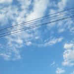 [댓글부탁해] 독서기록쓸때