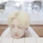 [세븐틴] 캐럿들 <b>진정</b>하고 잘자