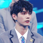 니네반 팬덤 <b>분포</b> 어케 되있어?