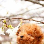 교실에서 선풍기 떨어졌는데 짝남 너무 설렜어