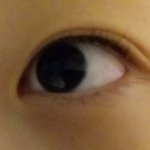 쌍<b>카풀</b> 추반좀 ㅈㅂ