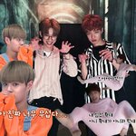 [브랜뉴즈] 브랜뉴 <b>합성</b> 한건데 졸귘ㅋㅋㅋ