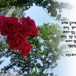 [듣고싶은 구리 신천지] 감동의 복음방 계시말씀, 달고 오묘해요...