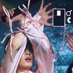 [김종현] 밑븍단 받고 역대급 산책짤 올린다