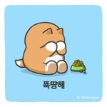 사장이 변ㅌㅐ같아여