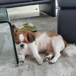 [방탄소년단] <b>미키</b>는 좋겠다