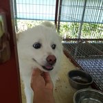 주인할머니와 이별을 하고 집을 잃게된 다행이