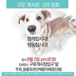 바로 내일,  구포개시장에서 2시에 <b>개식</b>용반대 집회가 있습니다.