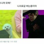 [EXO] 아 미친 <b>나방</b>들어왓어