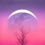 [드루와] 나만 이럴때 <b>뿌듯</b>하냐